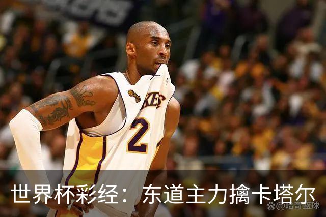 世界杯彩经：东道主力擒卡塔尔