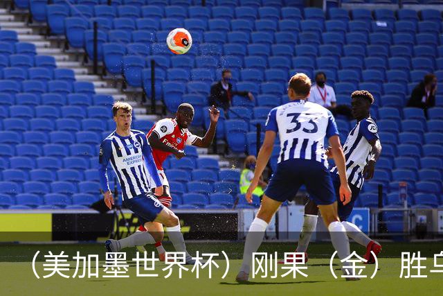 （美加墨世界杯）刚果（金）胜乌兹别克斯坦晋级 韩国无缘32强